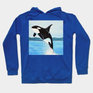 Orca Painting Hoodie